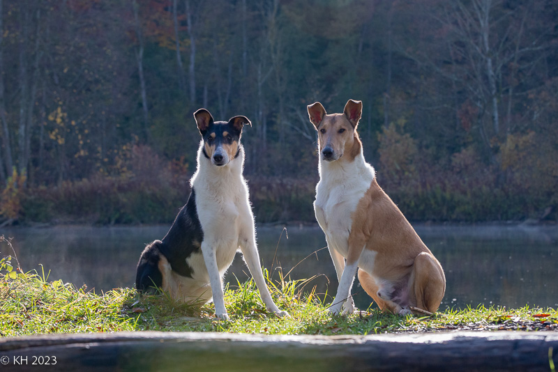 dsc_3471-1.jpg